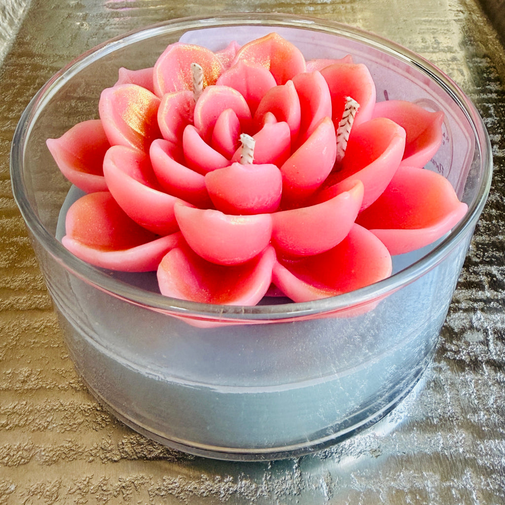 Lotus Lumiere - Where purity meets light
