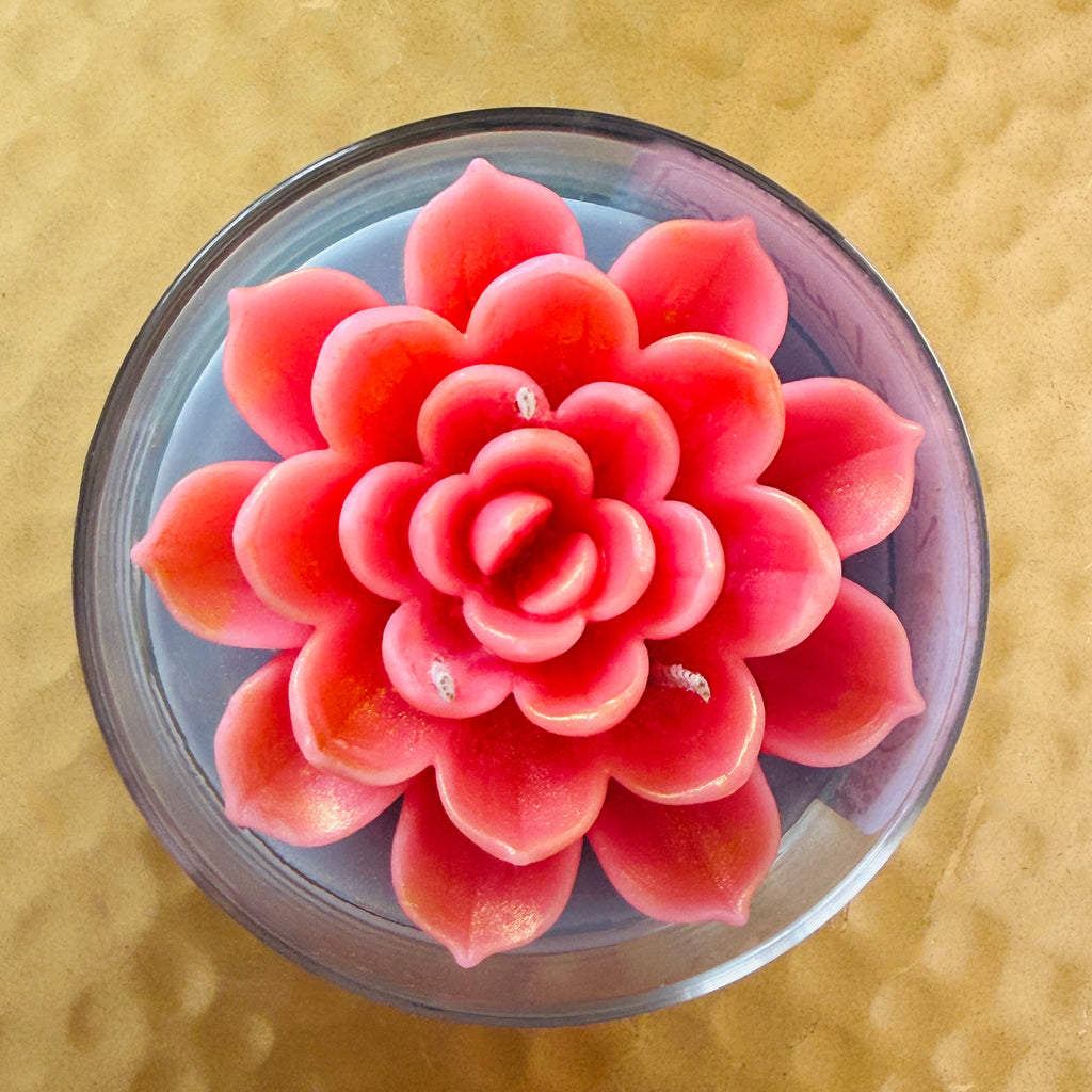 Lotus Lumiere - Where purity meets light