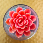 Lotus Lumiere - Where purity meets light