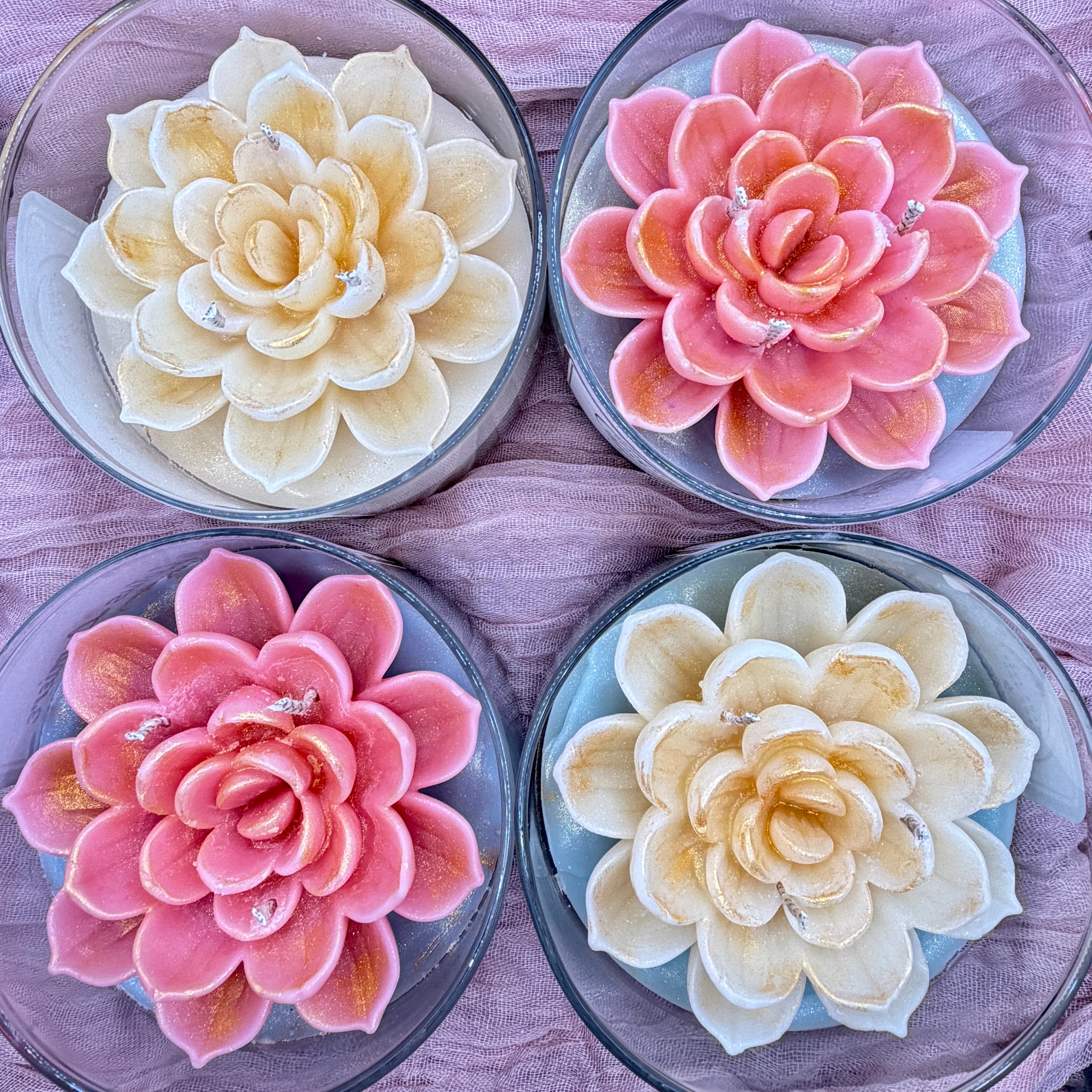 Lotus Lumiere - Where purity meets light
