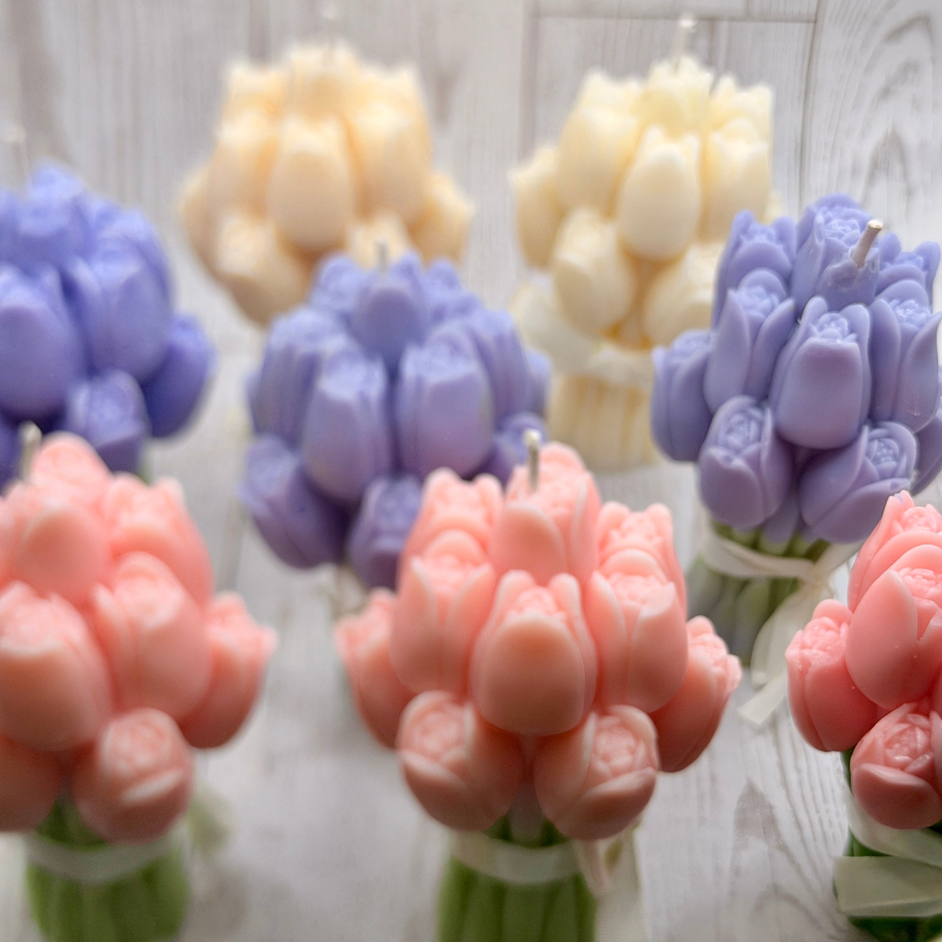 Blooming Tulip Bunch